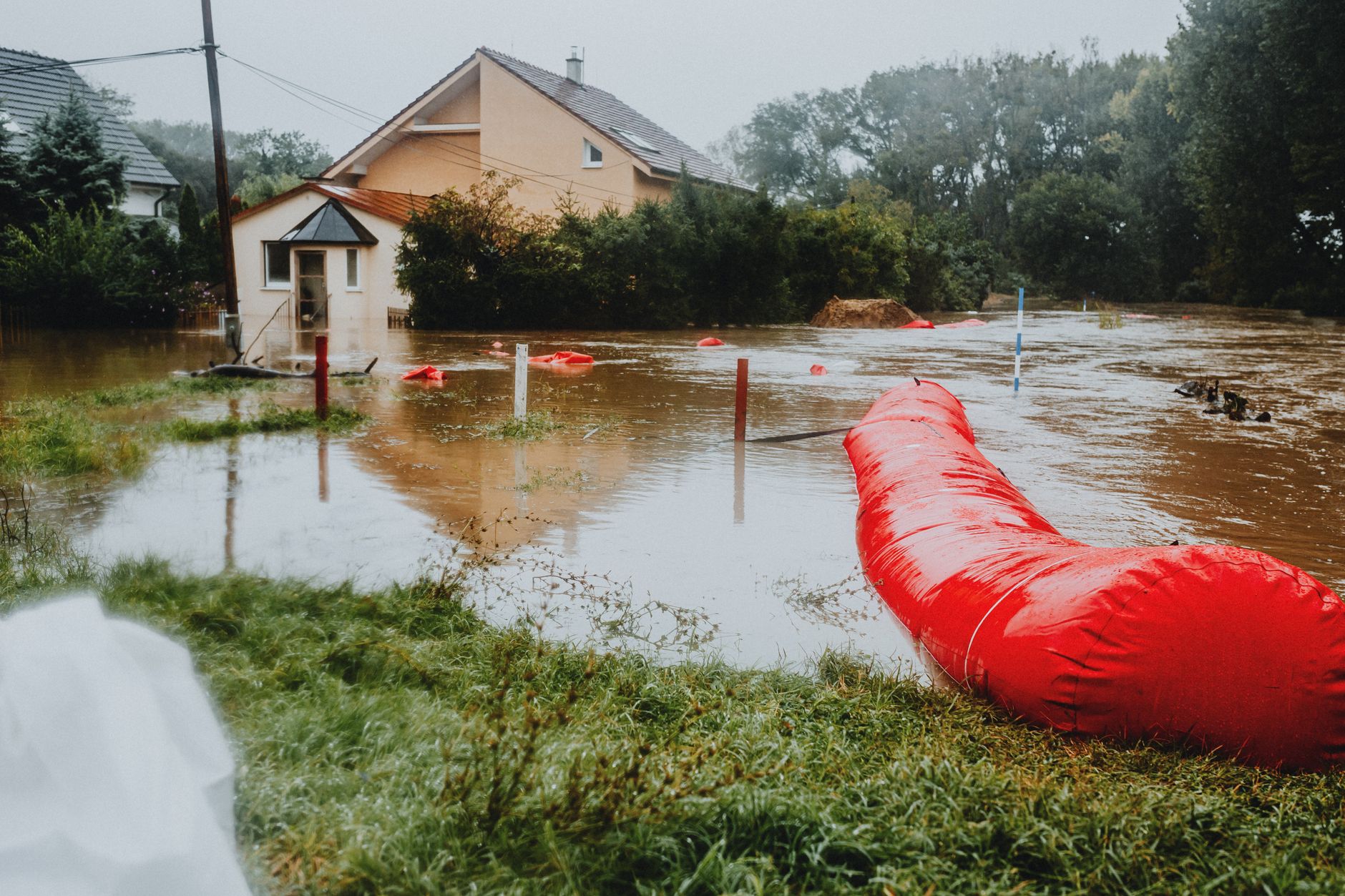 réparation dégât des eaux Ille-et-Vilaine